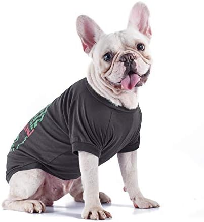 Тениска за кучета на Star Wars for Pets Boba Fett | Тениска за малки кучета | Размер на Малка Тениска за кучета Boba Fett | Мека, Сладка и Удобни Дрехи за кучета