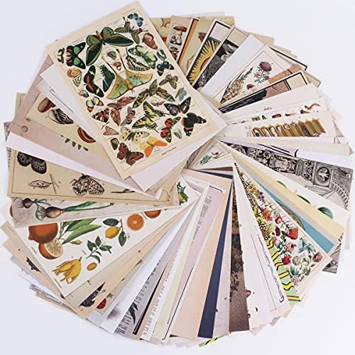 Комплект за стенен Колаж, Ретро ботаническата Стенен Монтаж (50 бр.), Плакати, Естетични Снимки за Таро, Бохо, Ботанически илюстрации,