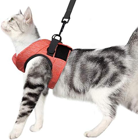 Комплект от колан за котки Wooruy и каишка за разходка, обматывающийся на 360 ° Около малките котки и Кучета, Амортизирующий и предотвратяване