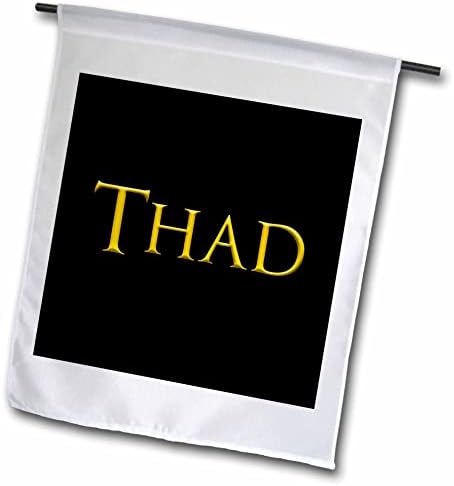 3dRose Thad Често срещано име за малки момчета в Америка. Жълто на черно амулет - знамена (fl-361402-1)