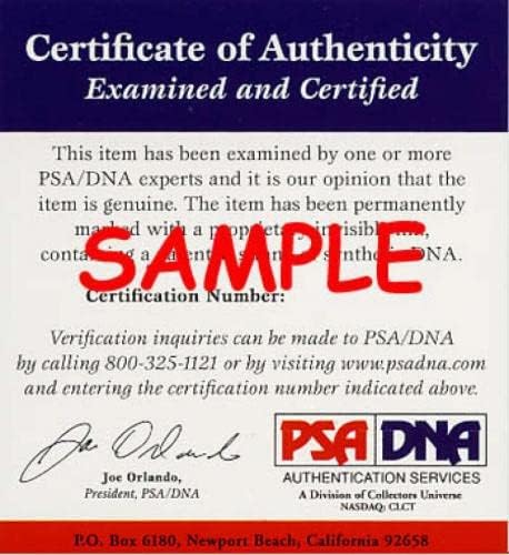 Paul Warfield PSA DNA Подписа Снимка Браунса с Автограф 8x10 - Снимки NFL с автограф
